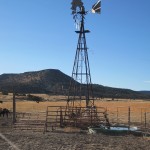 New Mexico at THanksgiving 2011 071